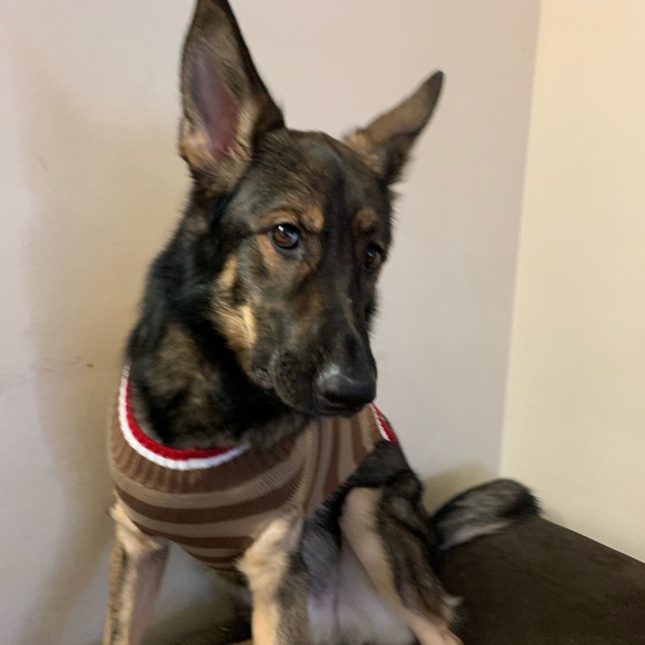 Meet your Posher, Vanessa - Picture 1 of 1